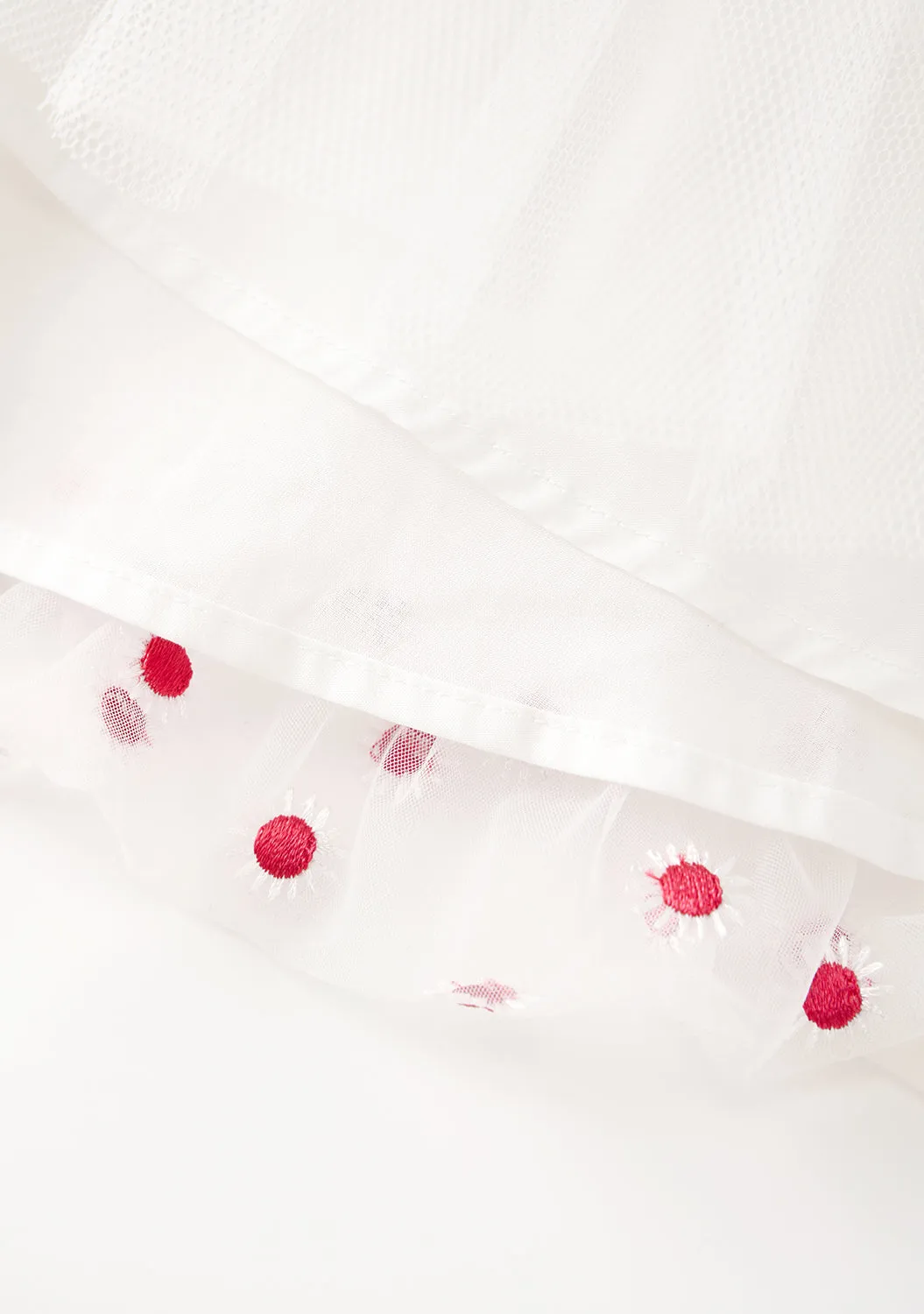 Enchanted Embroidered Dress