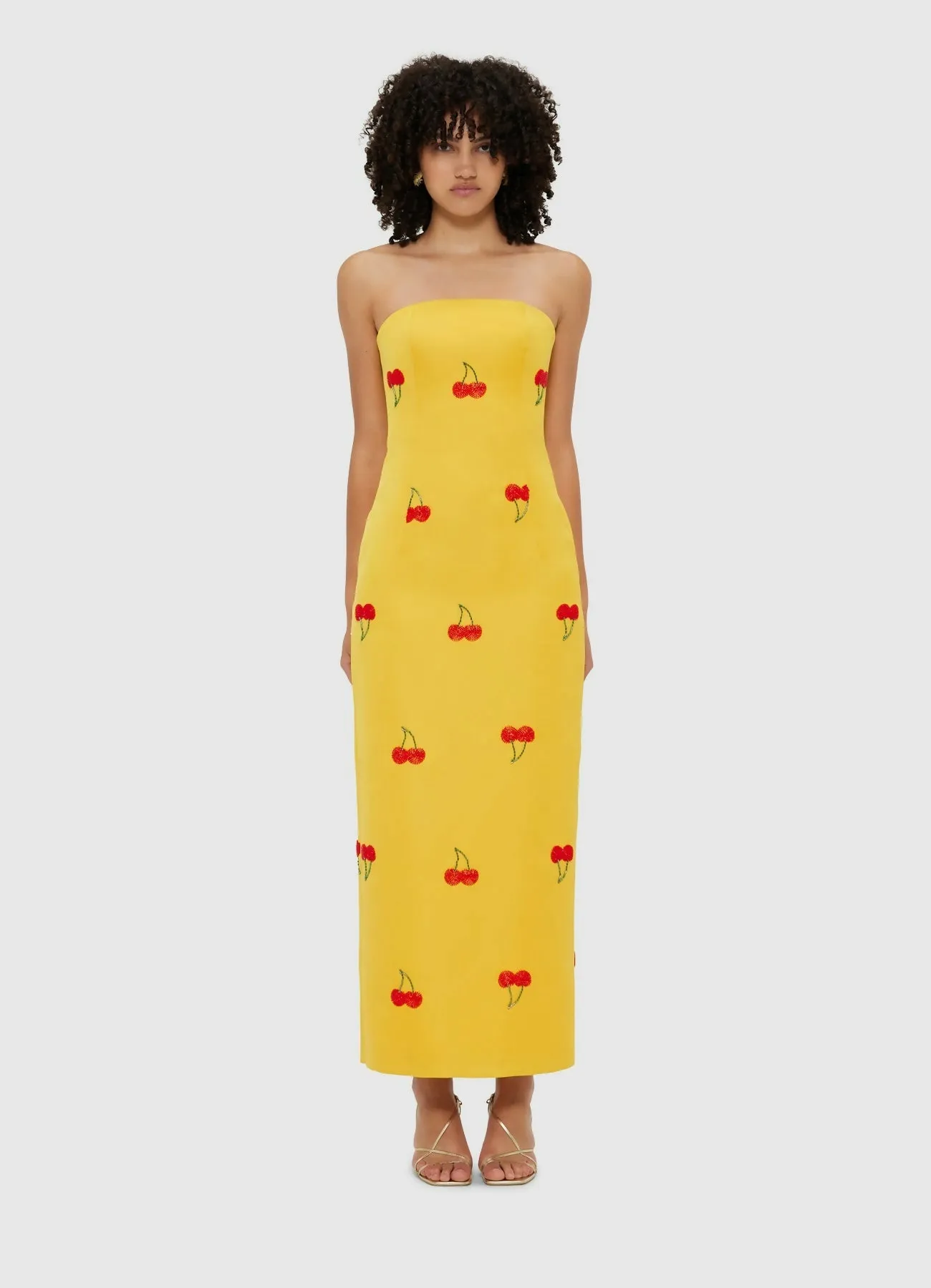 Leo Lin Rayna Embellished Bustier Maxi Dress