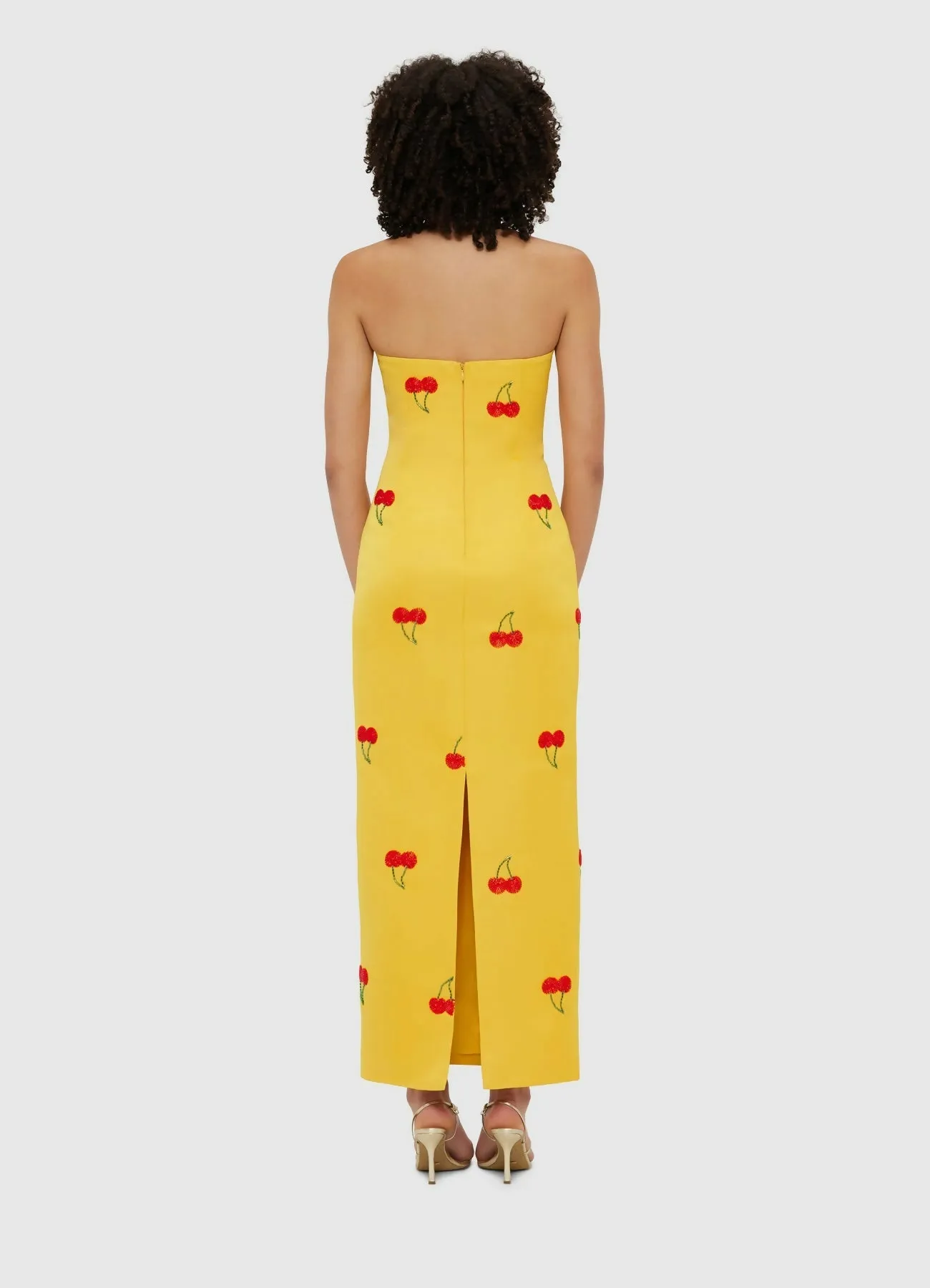 Leo Lin Rayna Embellished Bustier Maxi Dress