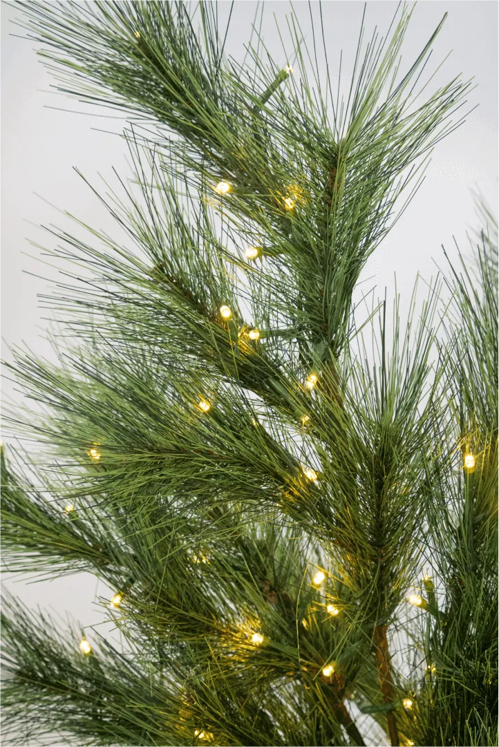 Pine LED Branches (3 Pack) | King of Christmas