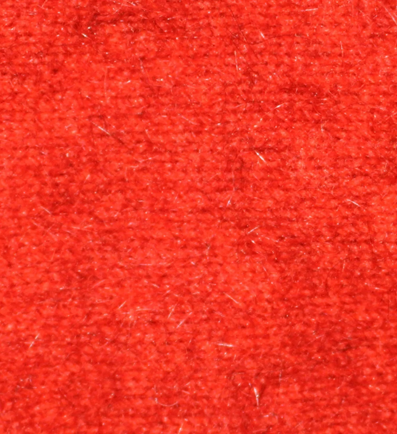 Takahe Cape