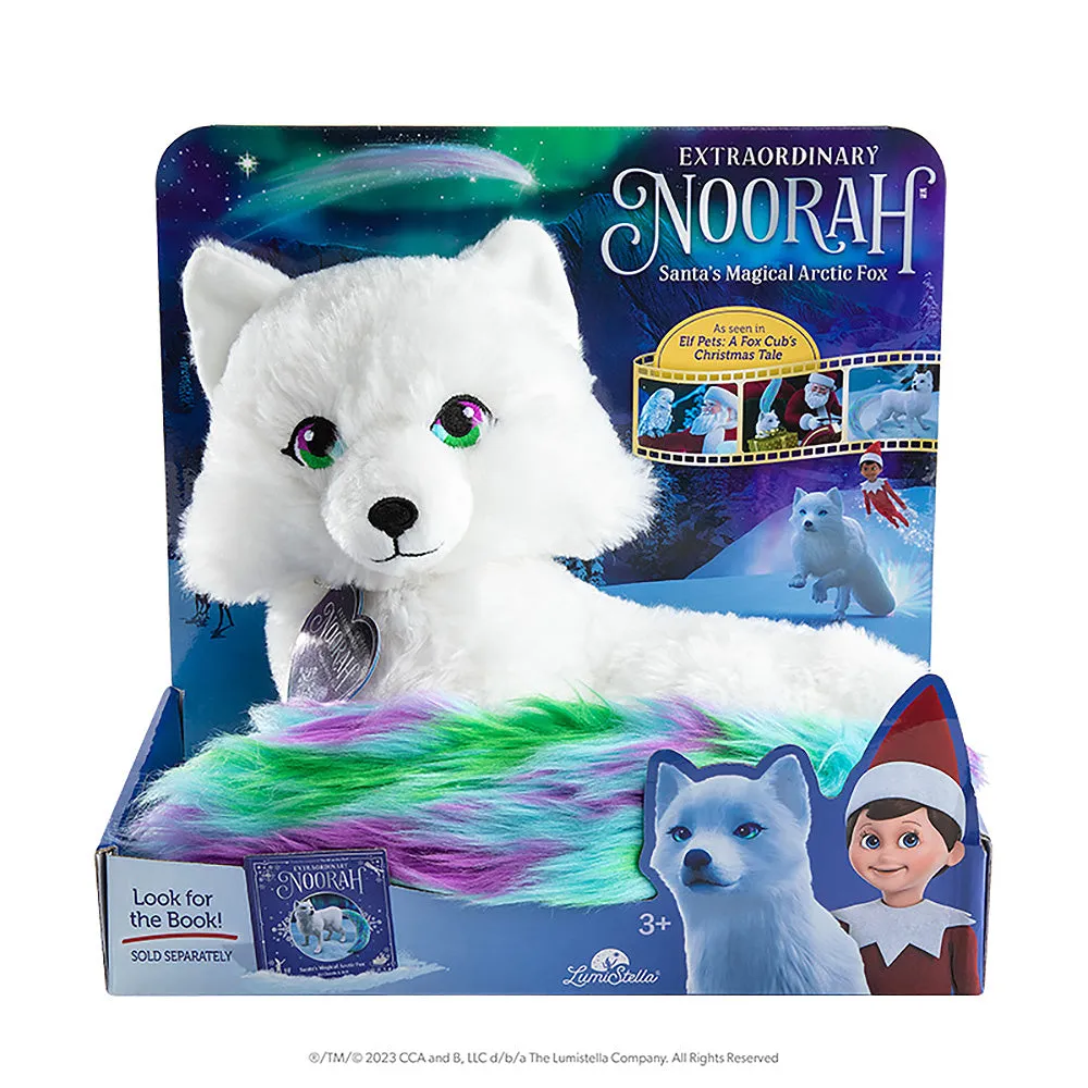 The Noorah® BIG Bundle